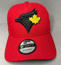 Toronto BlueJays