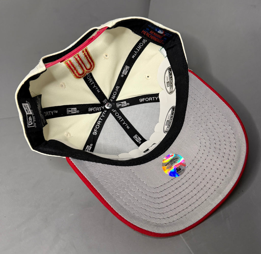 Mexico SnapBack